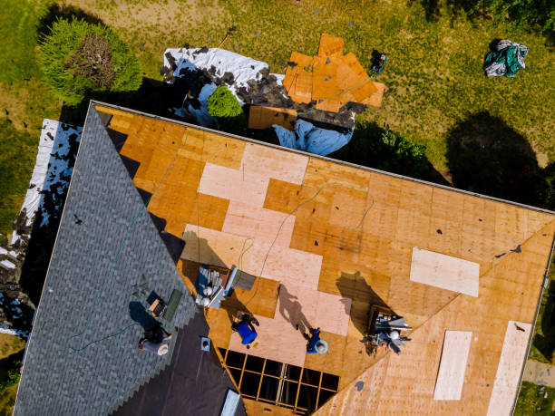 Best Storm Damage Roof Repair  in Clewiston, FL