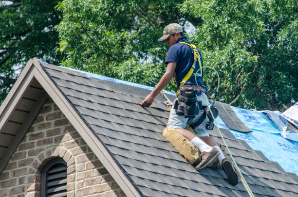 Quick and Trustworthy Emergency Roof Repair Services in Clewiston, FL